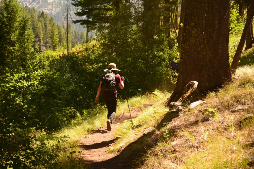 Hiking and Well-Being