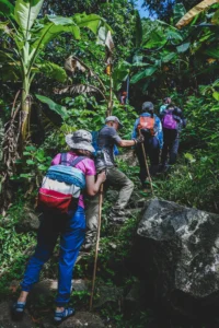 Hiking and Well-Being