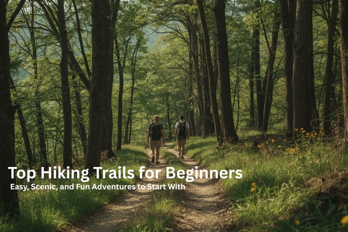 Top Hiking Trails for Beginners: Easy, Scenic, and Fun Adventures to Start With